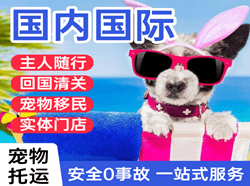 青山航空托运国际宠物托运 【国